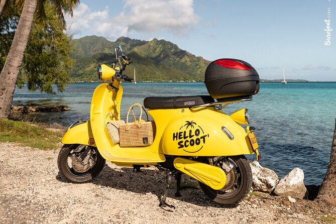 Shared Transfer : Moorea Airport (or) Pier to Hotel - An Honest Look at the Transfer Experience