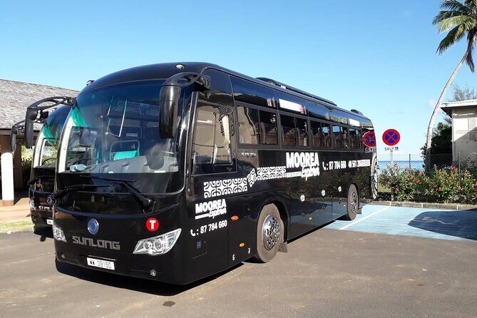 Shared Transfer : Moorea Airport (or) Pier to Hotel - The Sum Up