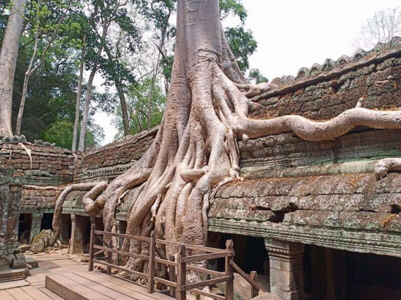 Sharing Trip to Angkor Temple with sunset - Key Points