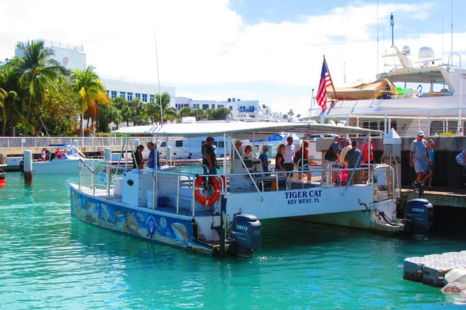 Shark and Wildlife Viewing Adventure in Key West - What To Expect