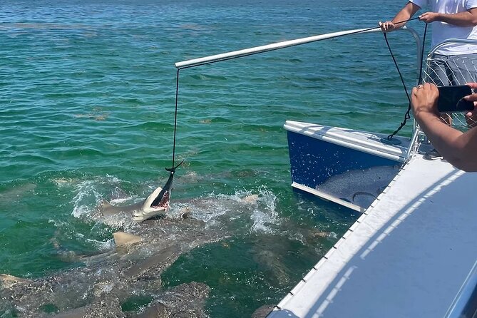 Shark and Wildlife Viewing Adventure in Key West - Directions to Dock