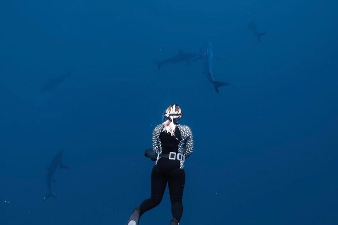 Shark Diving and Snorkeling in Oahu Hawaii - Preparing for the Adventure