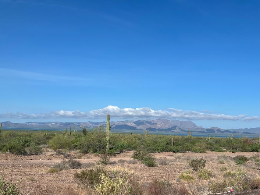 Shark Island: Tour of the Largest Island in Mexico - Inclusions and What to Bring