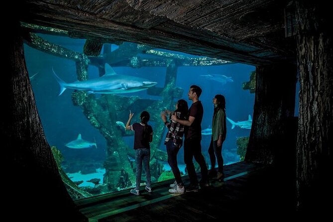 Shark Reef at Mandalay Bay Hotel and Casino - Visitor Accessibility