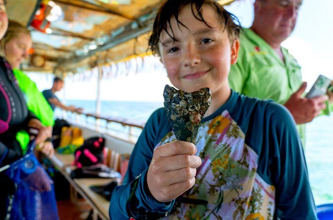 Shark Tooth Snorkeling Adventure and Huka Dive in Venice Florida - The Value of the Tour