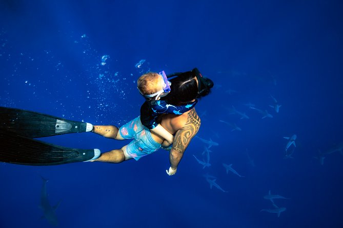 Shark Tour Dive With Sharks in Hawaii With One Ocean Diving - Customer Reviews