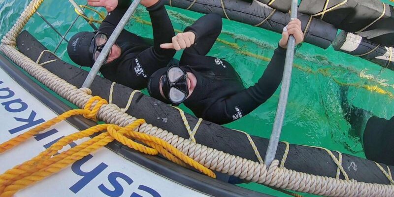 Shark & Whale Trip Combo - Included Amenities and Guides