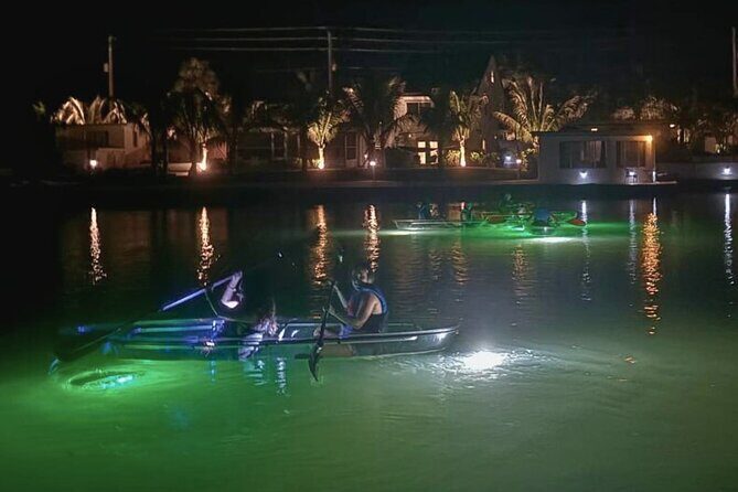 Sharkey's Glass Bottom Fish Feeding LED Night Tour in Venice, FL - Final Thoughts: Is It Worth It?