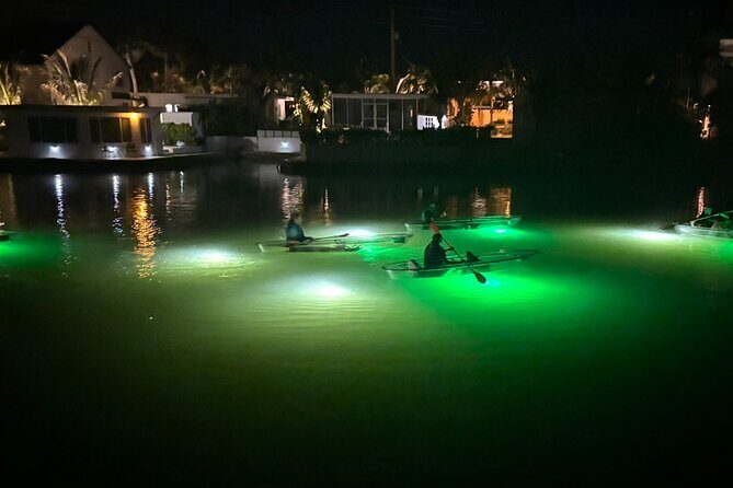 Sharkey's Glass Bottom Fish Feeding LED Night Tour in Venice, FL - FAQs
