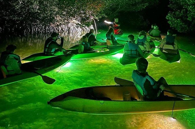 Sharkeys Glass Bottom Fish Feeding LED Night Tour Key West - An In-Depth Look at the Experience