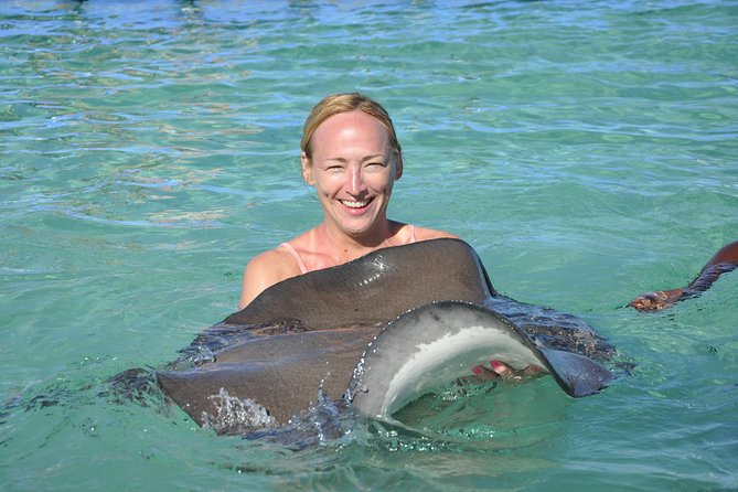Sharks & Stingrays Encounter and Small Boat Ride From Punta Cana - Highlights of the Encounter