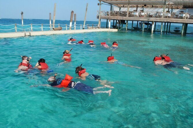 Sharks & Stingrays Snorkeling in Punta Cana with Parasailing - FAQs