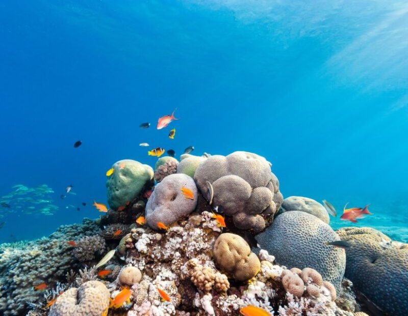 Sharm: 2-Days Dahab, Canyon, Safari, Snorkel W Camp Stay - Good To Know