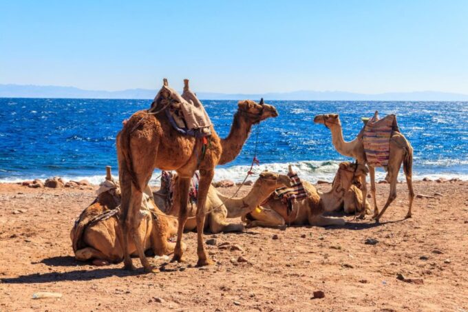 Sharm: 2-Days Dahab, Canyon, Safari, Snorkel W Camp Stay - Recommended Activities in Dahab