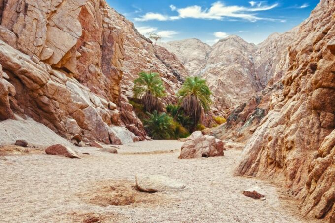 Sharm: 2-Days Dahab, Canyon, Safari, Snorkel W Camp Stay - The Sum Up