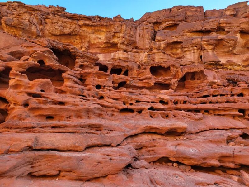 Sharm El-Sheik: Dahab, Red Canyon, and Abu Galum Day Tour - Good To Know