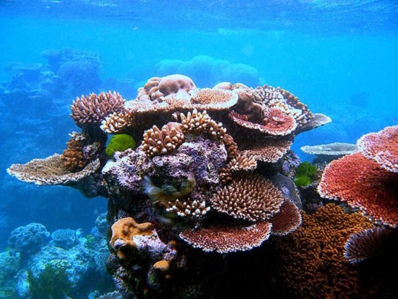 Sharm El-Sheik: Dahab, Red Canyon, and Abu Galum Day Tour - Inclusions and Exclusions