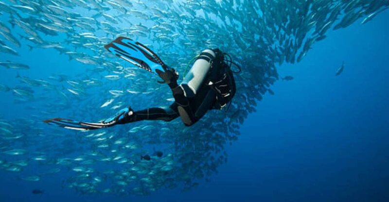 Sharm El Sheikh: 4-Day PADI Open Water Diver Course - Good To Know