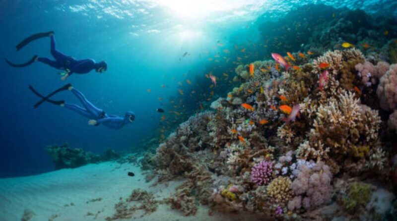 Sharm El Sheikh: 4-Day PADI Open Water Diver Course - Certification Process