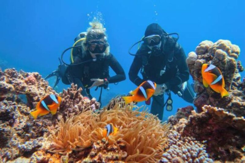 Sharm El Sheikh: 4-Day PADI Open Water Diver Course - Daily Itinerary