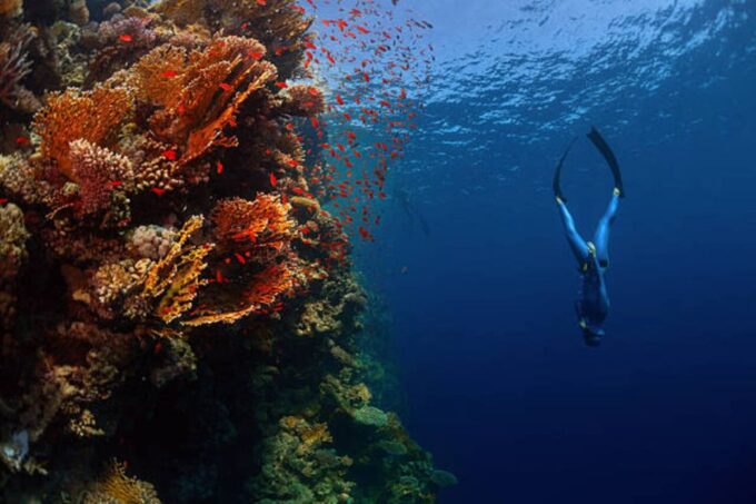 Sharm El Sheikh: 4-Day PADI Open Water Diver Course - Customer Reviews