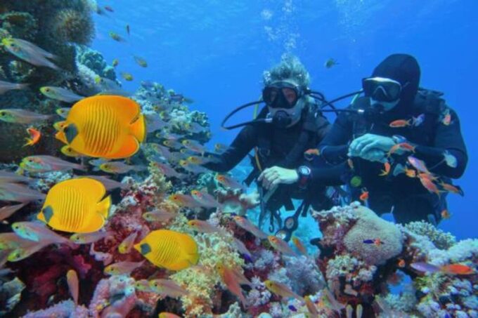 Sharm El Sheikh: 4-Day PADI Open Water Diver Course - Tips for First-Time Divers