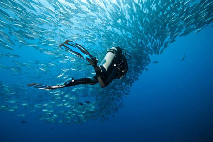 Sharm El Sheikh: 4-Day PADI Open Water Diver Course - Frequently Asked Questions