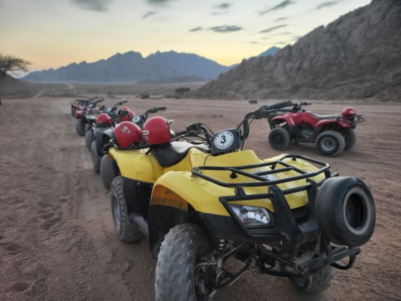 Sharm El Sheikh: Atv, Bedouin Tent With BBQ Dinner and Show - Inclusions