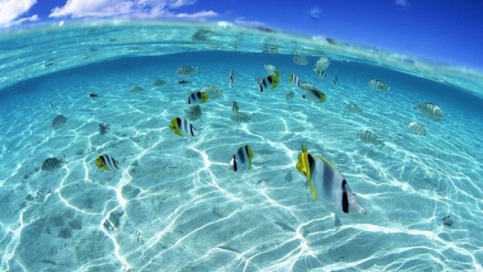 Sharm El Sheikh: ATV Quad Bike & Private Speedboat Adventure - Snorkeling at Two Spots
