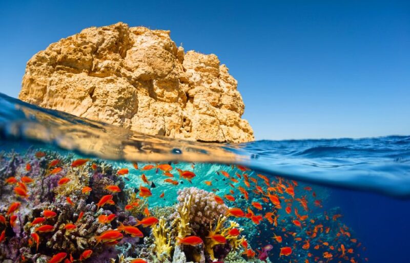 Sharm El Sheikh: Colored Canyon, Blue Hole & Dahab Day Trip - Experience and Activities