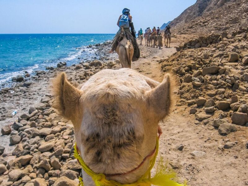 Sharm El Sheikh: Dahab, Canyon, Camel, and Snorkel Jeep Tour - Important Information for Travelers