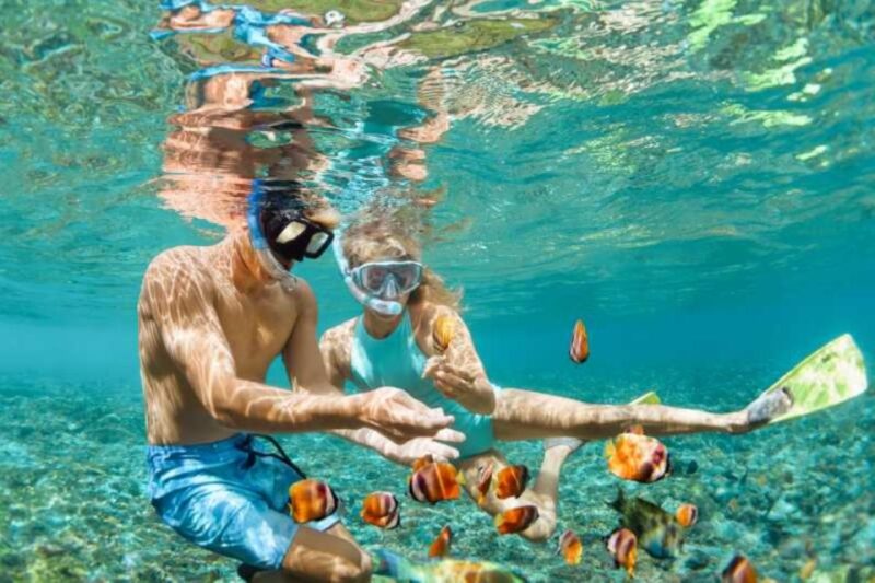 Sharm El Sheikh: Dahab, Canyon, Camel, and Snorkel Jeep Tour - Good To Know