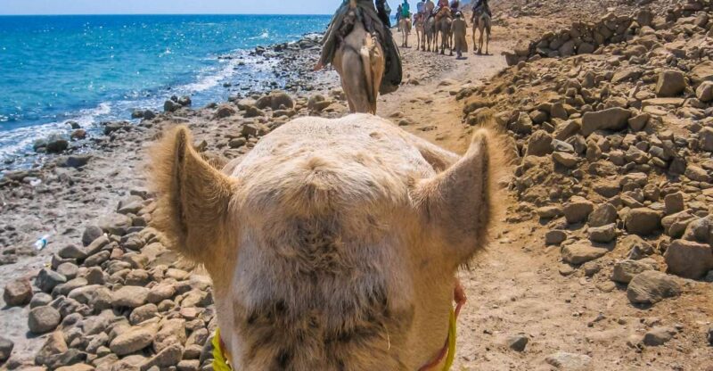 Sharm El Sheikh: Dahab, Canyon, Camel, and Snorkel Jeep Tour - Itinerary Highlights