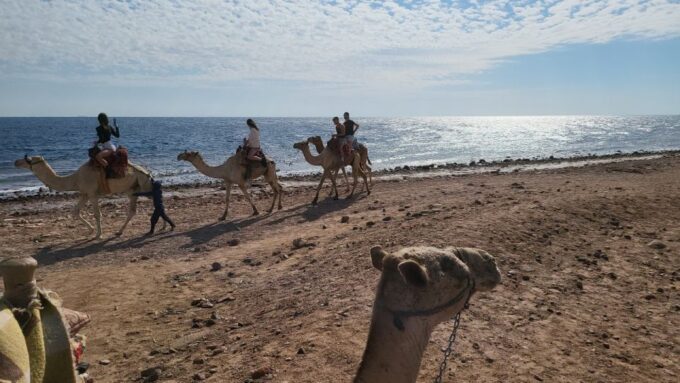 Sharm El Sheikh: Dahab, Canyon, Camel, and Snorkel Jeep Tour - Tips for a Great Experience