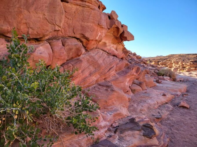 Sharm El Sheikh: Dahab, Canyon, Camel, and Snorkel Jeep Tour - How to Book Your Tour
