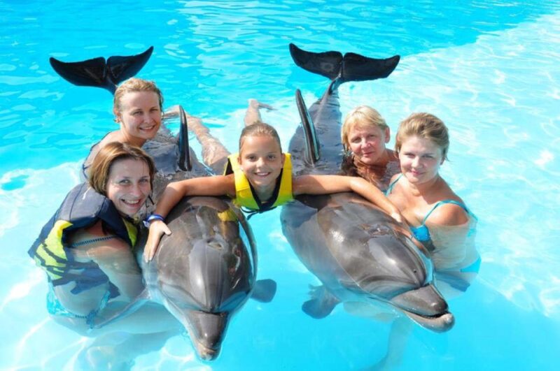 Sharm El-Sheikh: Dolphin Show & Optional Swimming W/Dolphins - Important Information