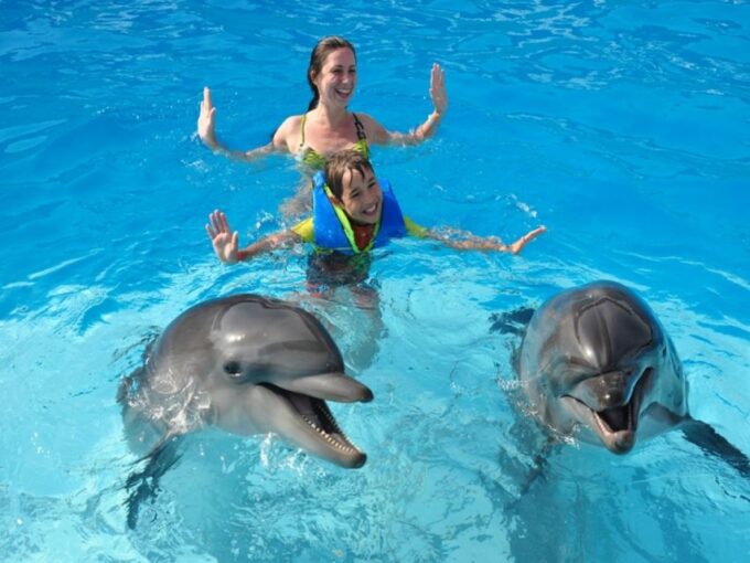 Sharm El-Sheikh: Dolphin Show & Optional Swimming W/Dolphins - Frequently Asked Questions