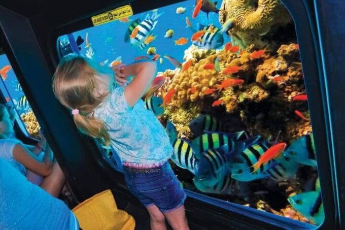 Sharm El-Sheikh: Glass Bottom Boat Coastal Tour - Booking Process