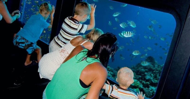 Sharm El-Sheikh: Panoramic Glass Bottom Boat Adventure - Customer Reviews and Ratings