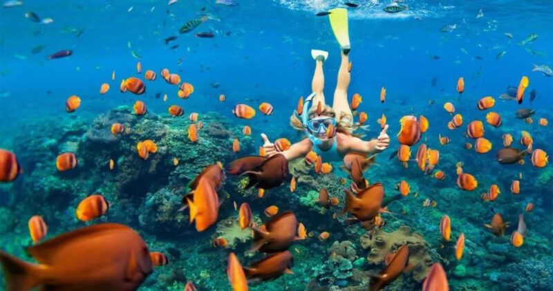 Sharm El-Sheikh Port to Ras Mohamed National Park by Car - Good To Know