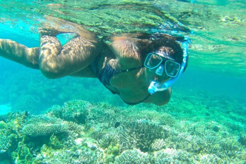 Sharm El-Sheikh Port to Ras Mohamed National Park by Car - Transportation and Pickup