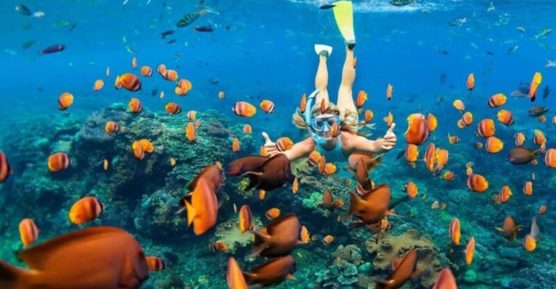 Sharm El-Sheikh Port to Ras Mohamed National Park by Car - Highlights and Activities