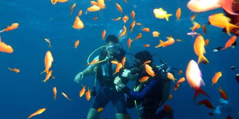 Sharm El-Sheikh Port to Ras Mohamed National Park by Car - Inclusions