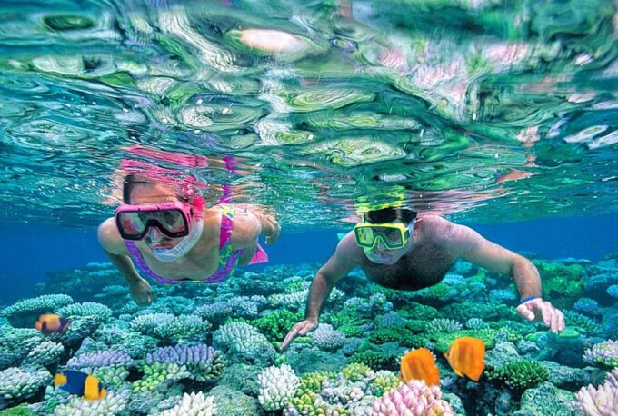 Sharm El-Sheikh Port to Ras Mohamed National Park by Car - Booking Details