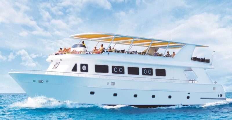 Sharm El-Sheikh: Premium Ras Mohammed & White Island Cruise - Good To Know