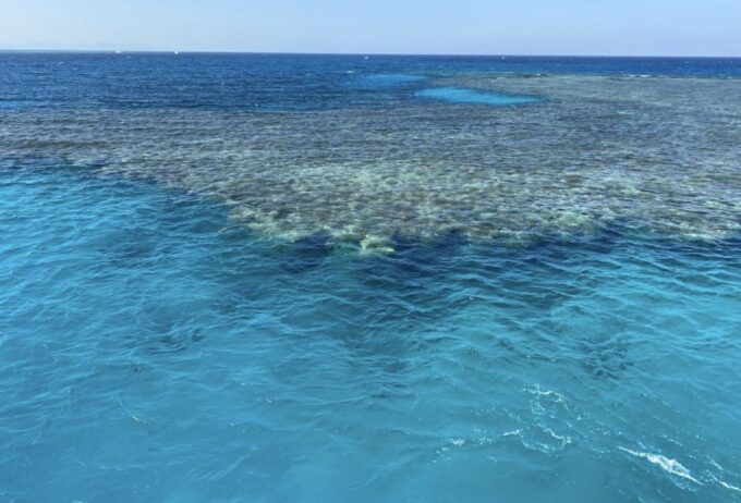 Sharm El-Sheikh: Premium Ras Mohammed & White Island Cruise - Tips for Travelers