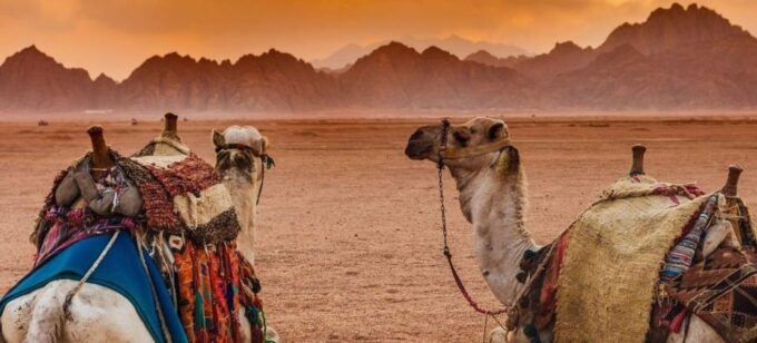 Sharm El Sheikh: Private City Tour With ATV and Bedouin Tent - Booking Your Adventure