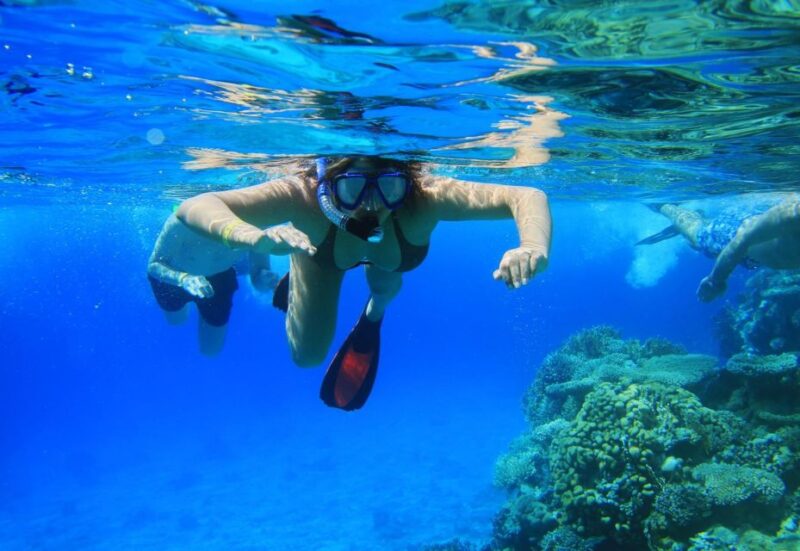 Sharm El Sheikh: Private Speedboat Trip to Tiran Island - Good To Know