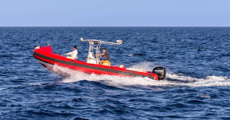 Sharm El Sheikh: Private Speedboat Trip to Tiran Island - Detailed Itinerary