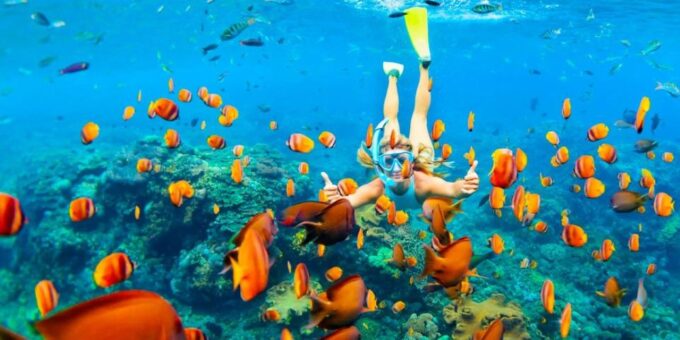 Sharm El Sheikh: Private Yacht Trip With Lunch and Drinks - What to Expect